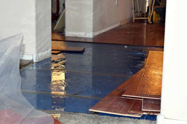 Professional Burst Pipe Cleanup technician working in Balch Springs, TX